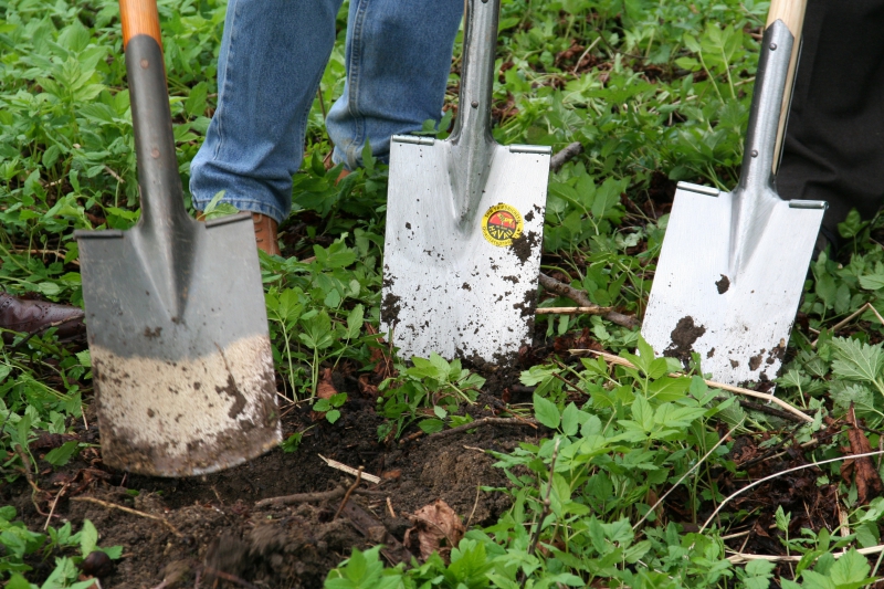 pepiniere-NEOULES-min_work-lawn-flower-tool-green-backyard-1103633-pxhere.com